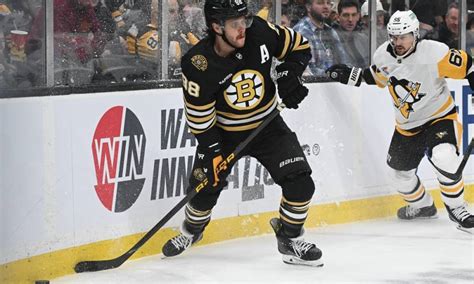 Boston Bruins vs. Ottawa Senators odds, tips and betting trends.